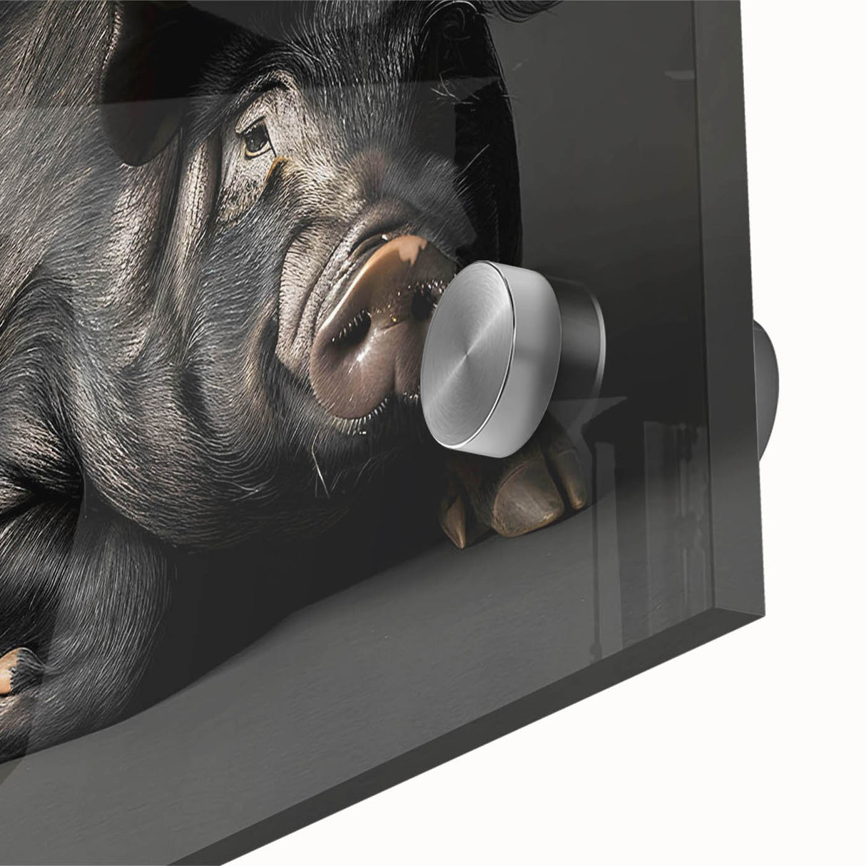 Close-up of a vibrant acrylic wall art piece featuring a whimsical pig design, showcasing intricate details and vivid colors, perfect for animal lovers' decor.