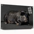 Acrylic glass wall art featuring a whimsical pig design from the "Animals A Wild Life" collection, showcasing vibrant colors and a modern aesthetic, perfect for animal lovers.