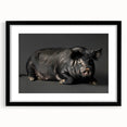 Framed wall art featuring a whimsical pig design from the Wild Life collection, showcasing vibrant colors and a sleek black frame, ideal for animal lovers' decor.
