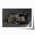 Whimsical wall art print featuring a playful pink pig design on a textured background, ideal for animal lovers and home decor enthusiasts, presented in a rolled format.