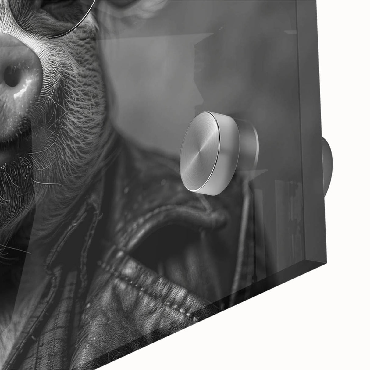 Close-up of a vibrant acrylic glass wall art design featuring a whimsical pig illustration, showcasing intricate details and vivid colors, perfect for animal lovers.