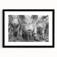 Wall art featuring a whimsical pig design with vibrant colors, framed in black with a mat for a polished look, perfect for animal lovers and home décor enthusiasts.