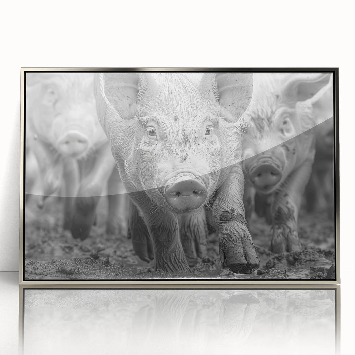 Framed wall art featuring a whimsical pig design set against a silver acrylic background, showcasing vibrant colors and playful details, ideal for animal lovers.