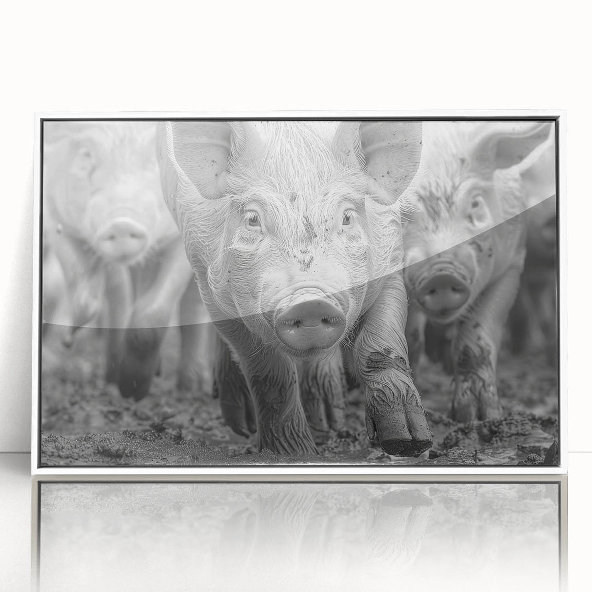 Framed acrylic wall art featuring a whimsical pig design, set against a white background, ideal for animal lovers and home decor enthusiasts.