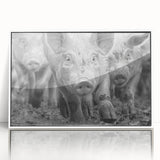 Framed acrylic wall art featuring a whimsical pig design, set against a white background, ideal for animal lovers and home decor enthusiasts.