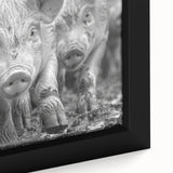 Close-up of a framed canvas featuring a vibrant pig design from the "Animals A Wild Life" wall art collection, showcasing rich colors and intricate details, perfect for animal lovers.