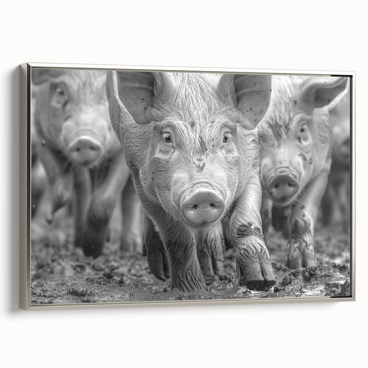 Framed wall art featuring a decorative pig design from the Animals A Wild Life collection, showcasing vibrant colors and detailed textures in a modern silver frame. Perfect for animal lovers and home decor enthusiasts.