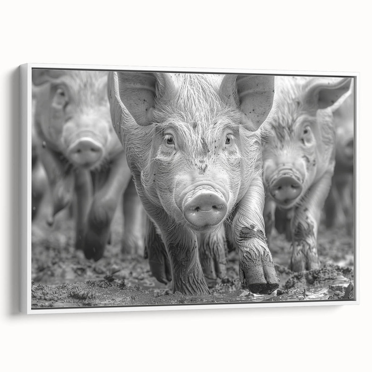 Framed wall art featuring a whimsical pig design from a wildlife collection, set against a white background, ideal for playful home decor and animal lovers.
