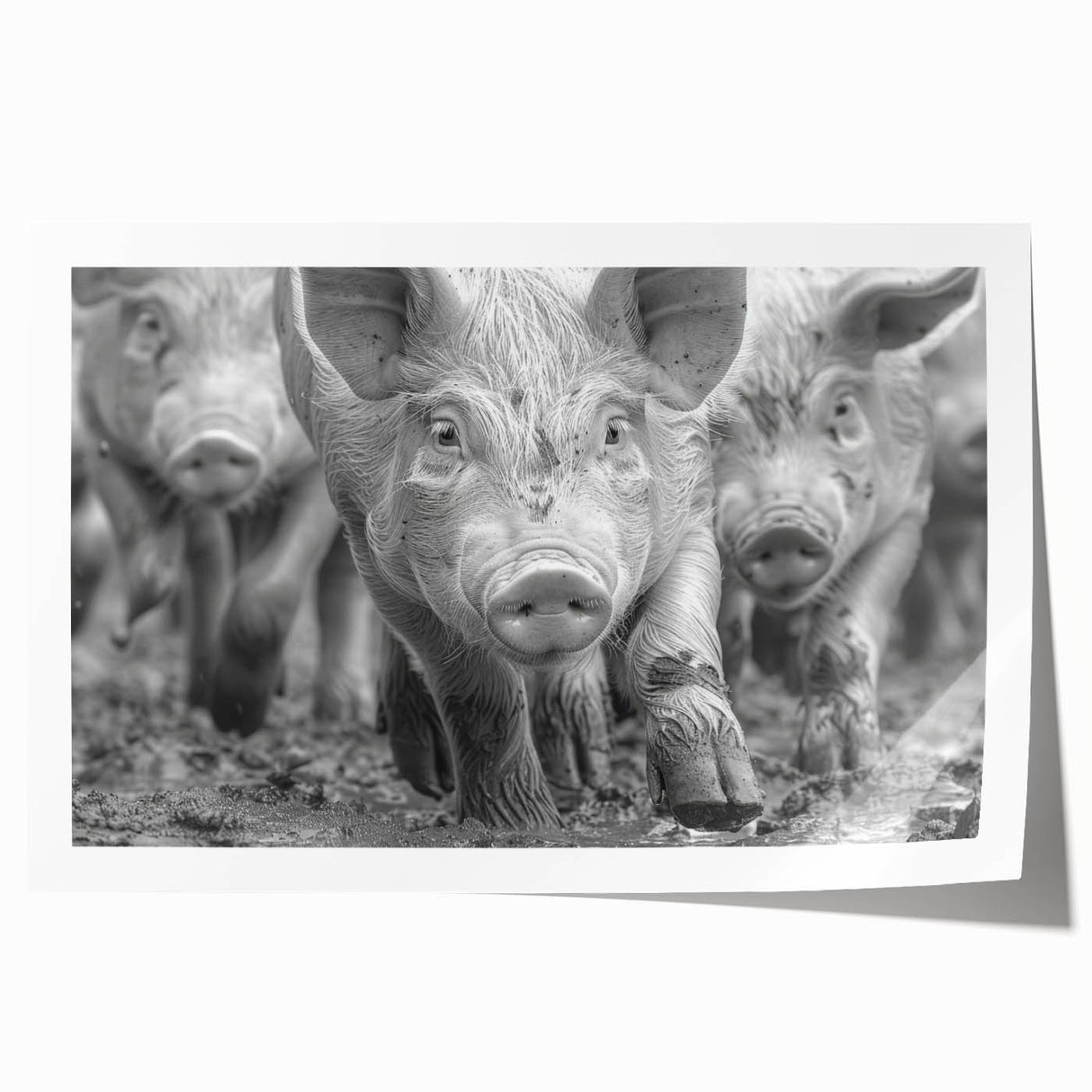 Colorful wall art print featuring a whimsical pig design, showcasing vibrant colors and playful details, ideal for animal lovers and home decor enthusiasts.