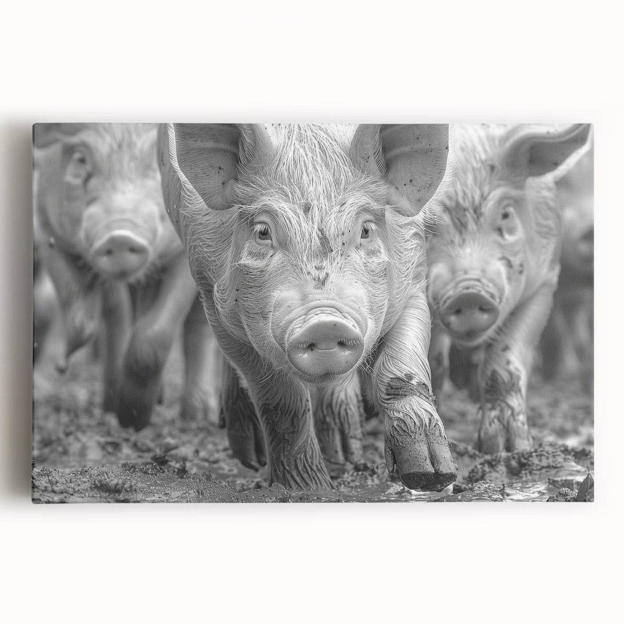 Vibrant stretched canvas wall art featuring a whimsical pig design, showcasing playful colors and intricate details, ideal for adding a touch of fun to home decor.