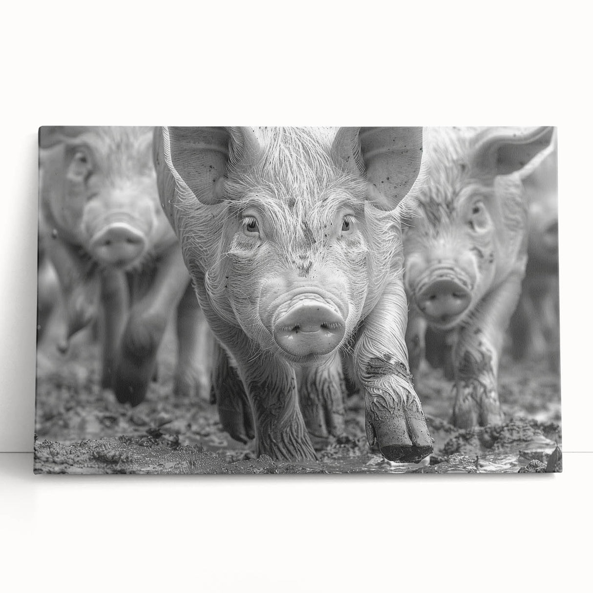 Canvas wall art featuring a whimsical pig design, showcasing vibrant colors and intricate details, perfect for adding a playful touch to home decor.