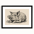 Framed wall art showcasing a vibrant pig design from the "Animals A Wild Life" collection, featuring a sleek black frame and matting, perfect for animal lovers and home decor enthusiasts.
