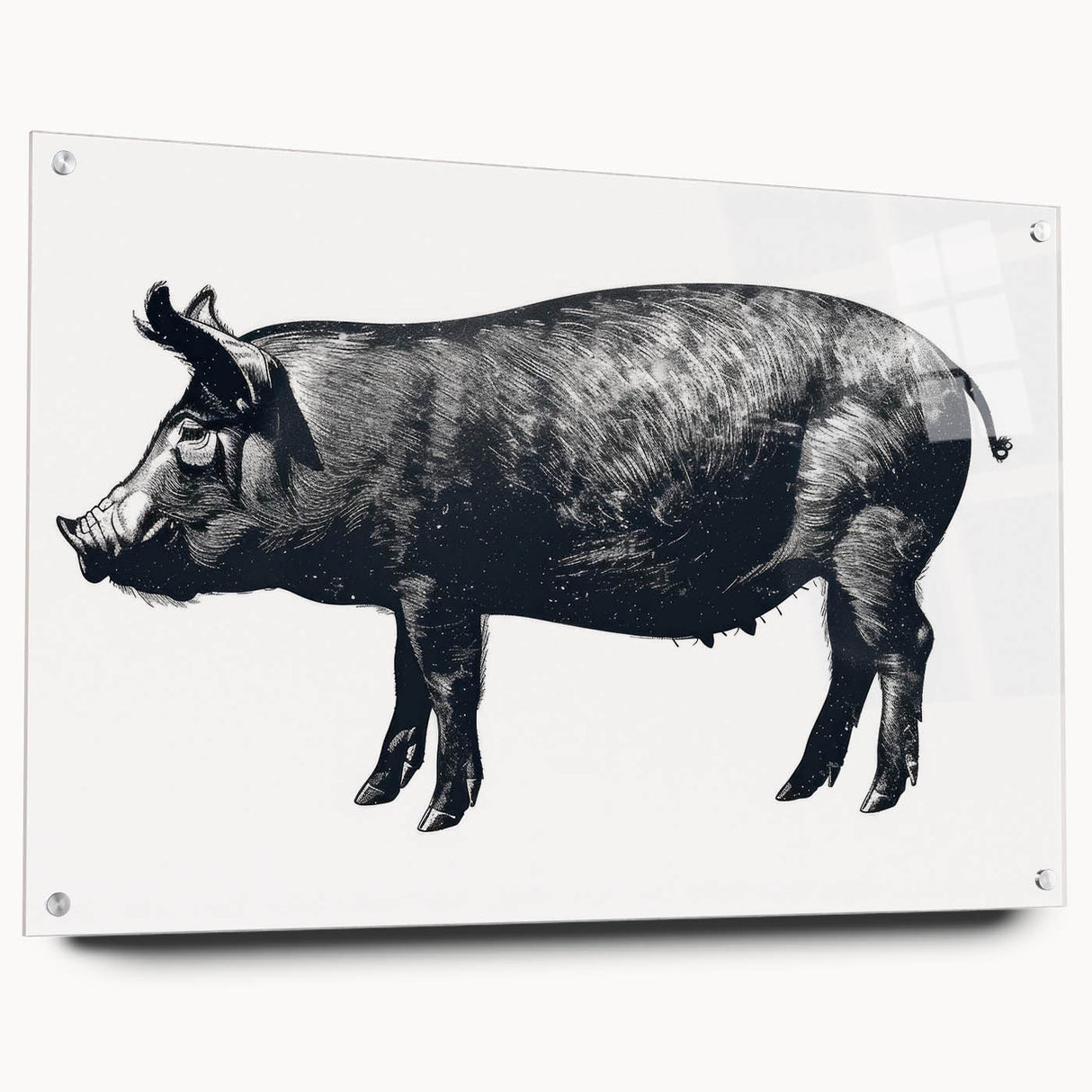 Acrylic glass wall art piece featuring a whimsical pig design from the 'Animals: A Wild Life' collection, displayed in a side view with decorative pins, perfect for adding a playful touch to modern interiors.