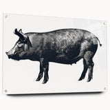 Acrylic glass wall art piece featuring a whimsical pig design from the 'Animals: A Wild Life' collection, displayed in a side view with decorative pins, perfect for adding a playful touch to modern interiors.