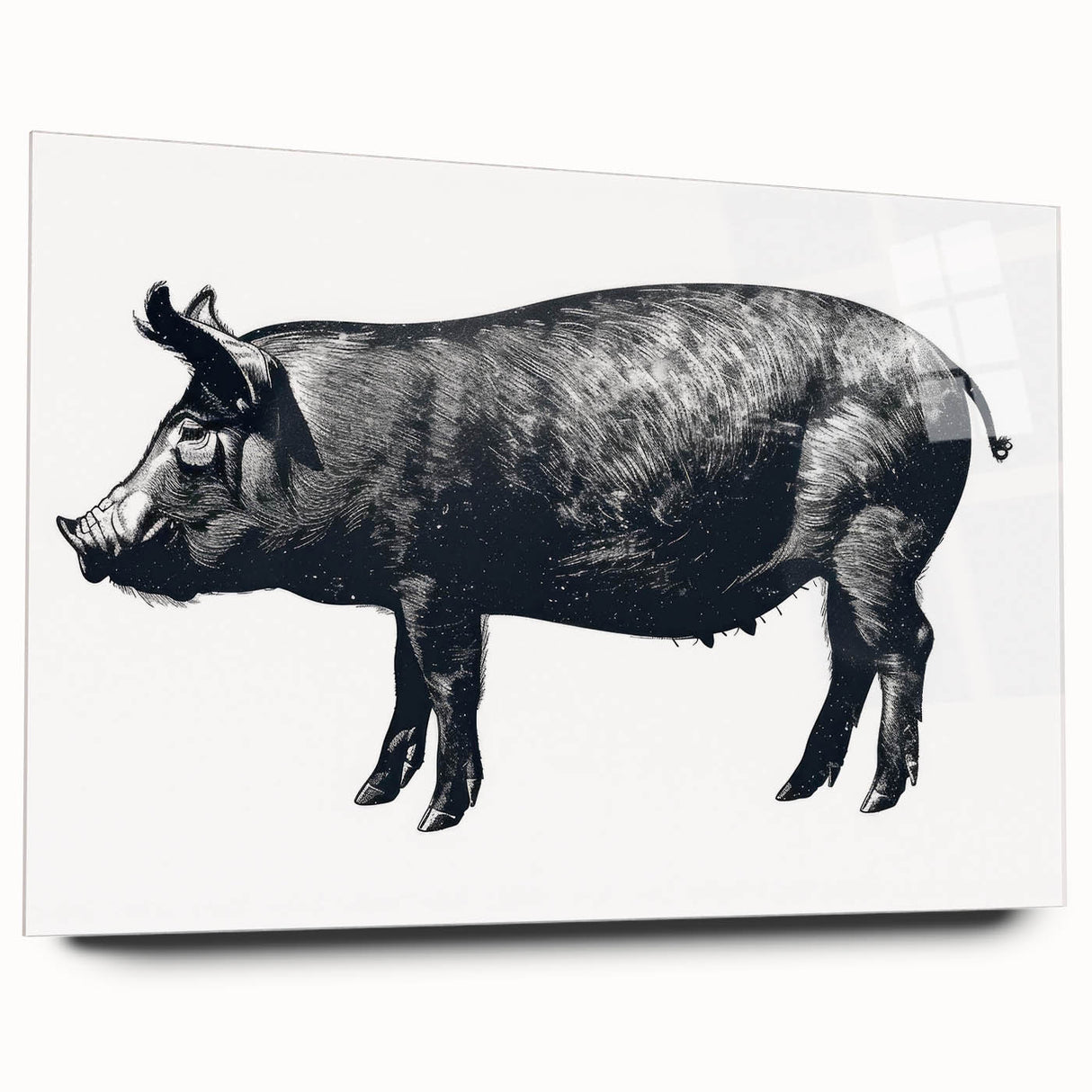 Acrylic wall art featuring a playful pig design from the Animals A Wild Life collection, showcased in a side view without pins, ideal for animal lovers' decor.