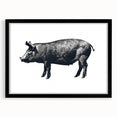 Black-framed wall art featuring a whimsical pig design from the "Animals A Wild Life" collection, displayed with a white mat for a stylish look, perfect for animal lovers.