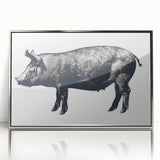 Framed acrylic wall art featuring a vibrant, stylized pig design from the "Animals: A Wild Life" collection, set against a sleek silver background, perfect for animal lovers and modern decor.