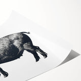 Stylish wall art print of a whimsical pig design, showcasing vibrant colors and playful details, perfect for adding character to home decor.