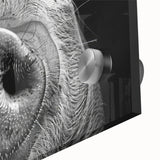 Close-up of a vibrant acrylic glass wall art piece featuring a stylized pig design, showcasing intricate details and rich colors, ideal for animal lovers and home decor enthusiasts.