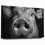 Acrylic glass wall art featuring a side view of a whimsical pig design from the "Animals a Wild Life" collection, showcasing vibrant colors and playful details for a fun decor accent.