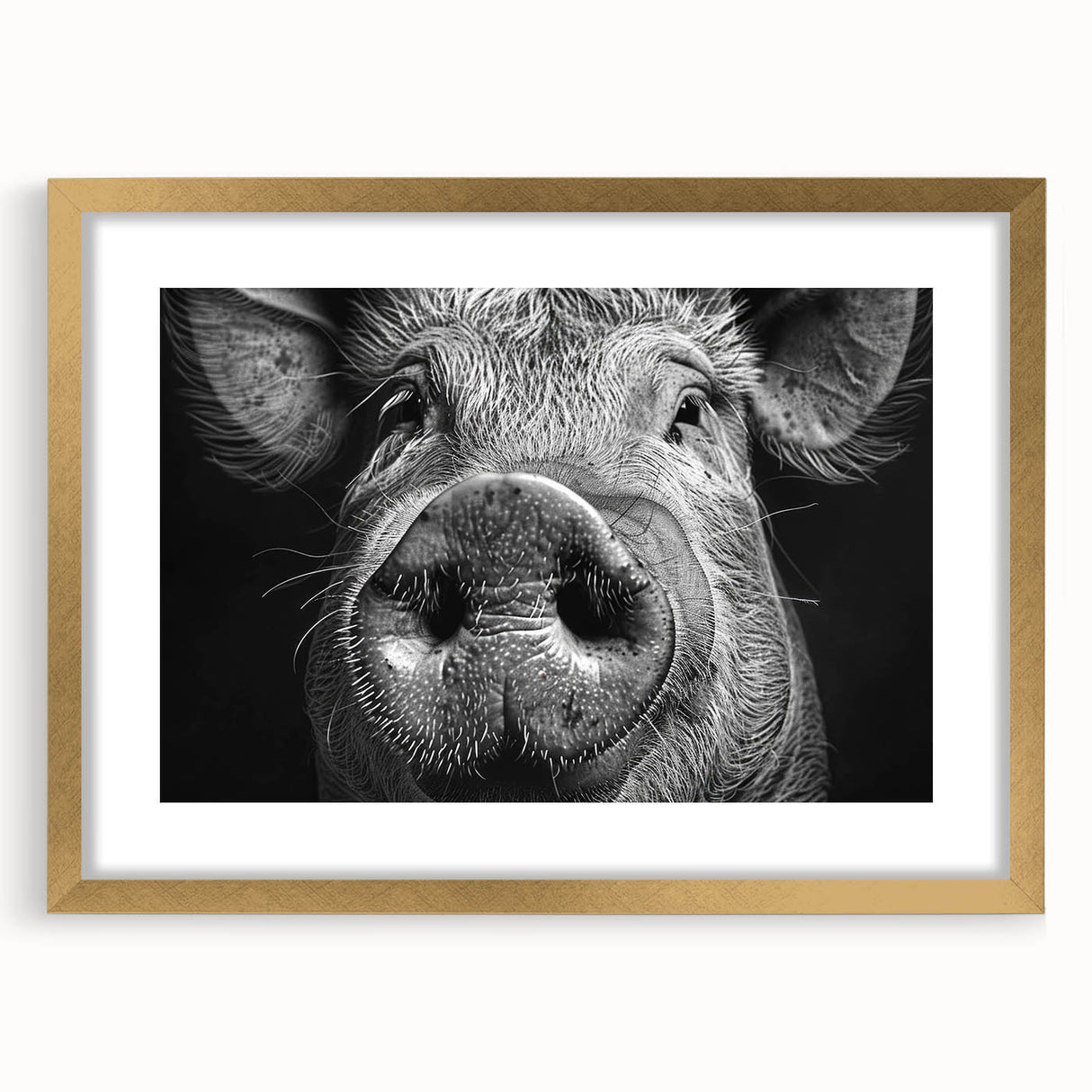Framed wall art featuring a whimsical pig design from the 'Animals A Wild Life' collection, accented with a gold frame and mat, perfect for home decor.
