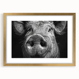Framed wall art featuring a whimsical pig design from the 'Animals A Wild Life' collection, accented with a gold frame and mat, perfect for home decor.