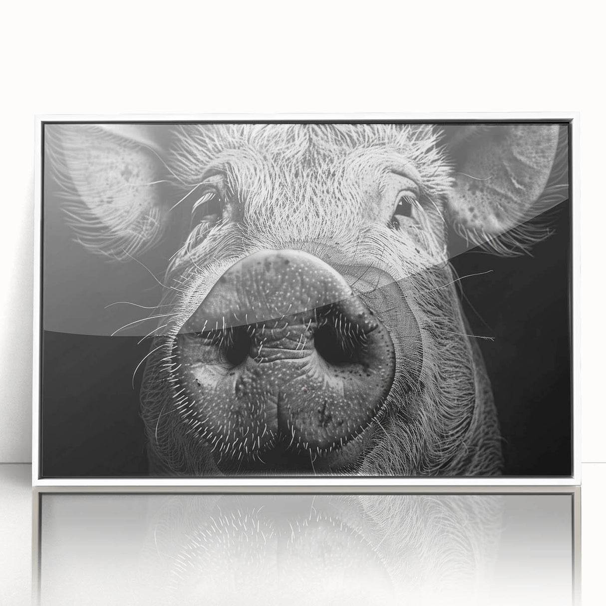 Framed acrylic wall art featuring a whimsical pig design from the 'Animals A Wild Life' collection, presented in a sleek white frame, ideal for home decor.