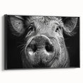 Framed canvas wall art featuring a playful pig design from the Animals A Wild Life collection, showcasing vibrant colors and intricate details against a black background. Perfect for animal lovers and home decor enthusiasts.