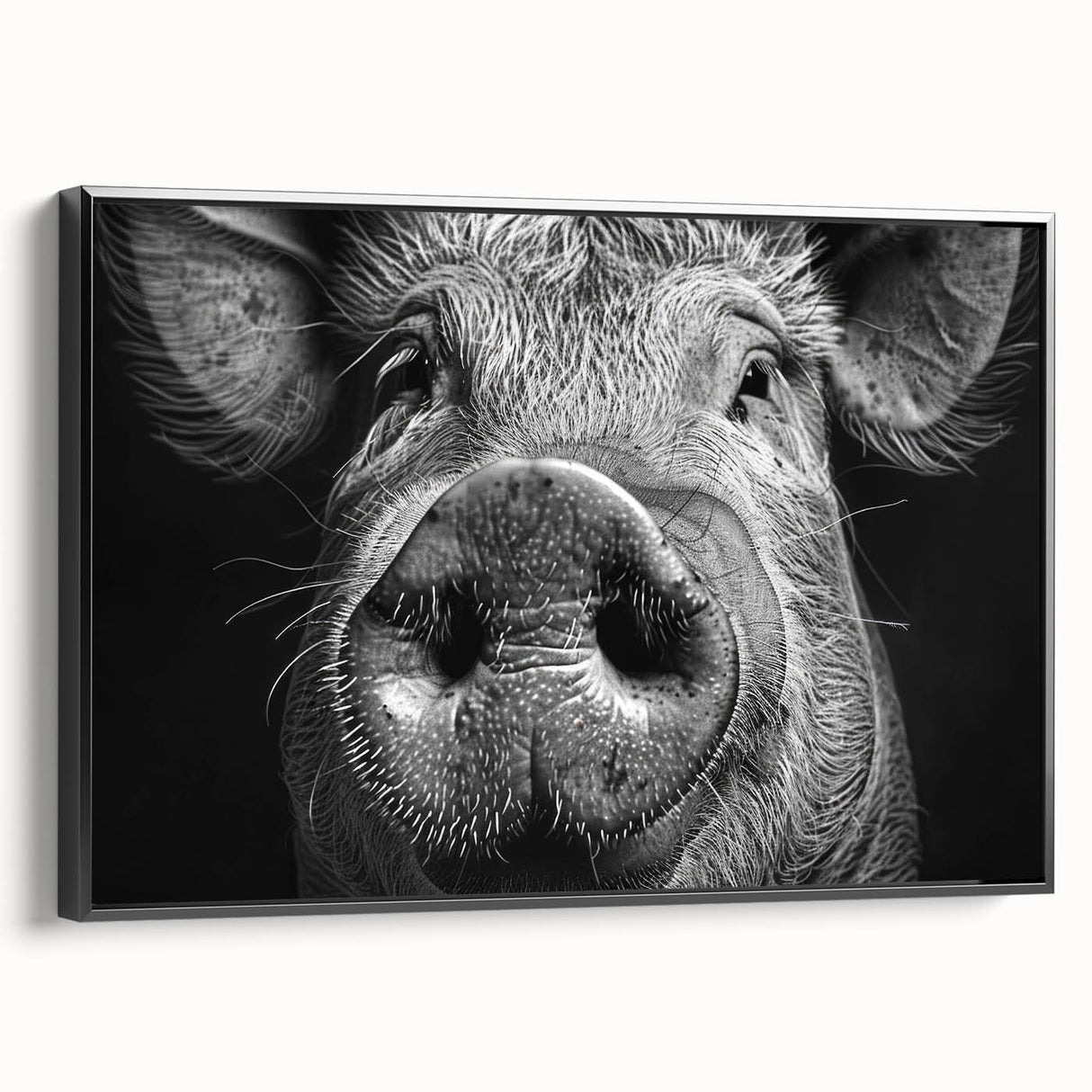 Framed canvas wall art featuring a playful pig design from the Animals A Wild Life collection, showcasing vibrant colors and intricate details against a black background. Perfect for animal lovers and home decor enthusiasts.