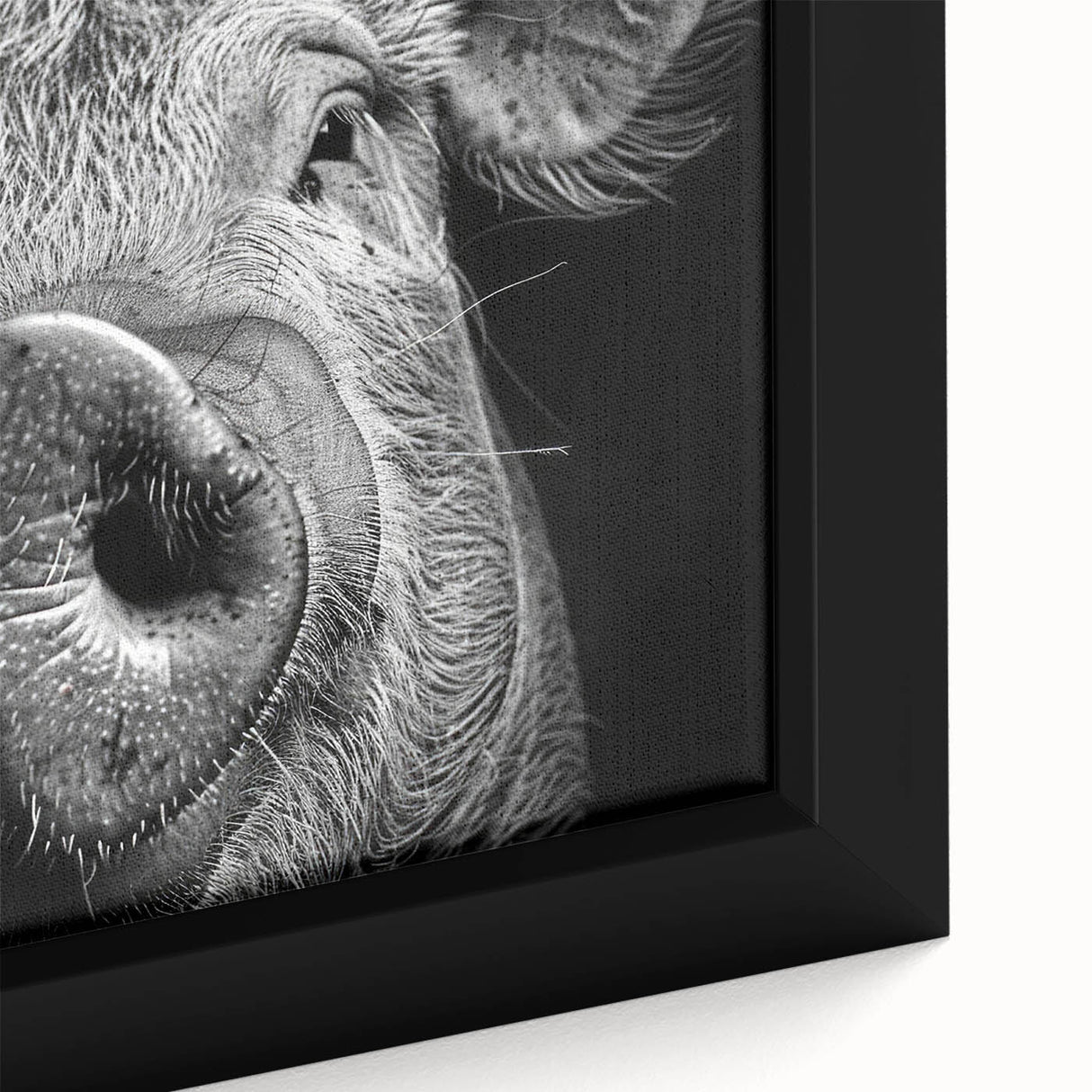 Close-up of a framed canvas wall art piece showcasing a whimsical pig design from the "Animals of the Wild" collection, featuring vibrant colors and intricate details, perfect for animal lovers and home decor enthusiasts.