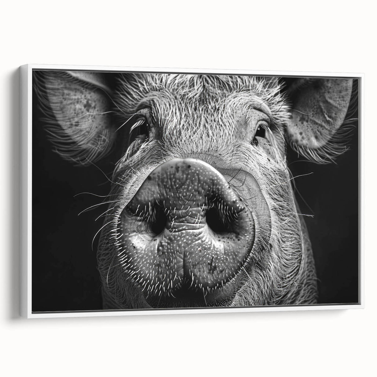 Framed canvas art piece depicting a whimsical pig design in a wild-life theme, featuring vibrant colors and a white frame, perfect for modern home decor.