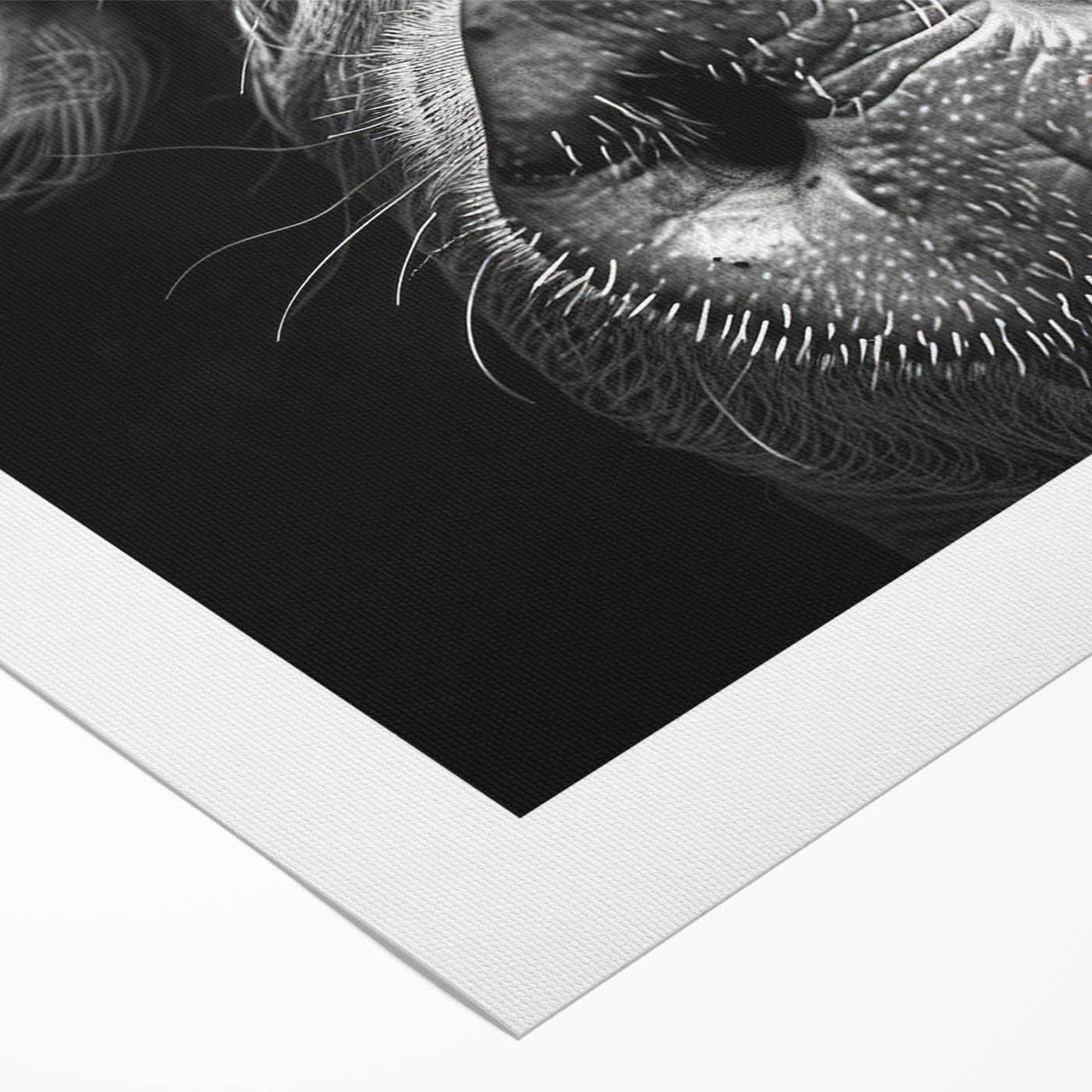 Rolled canvas artwork showcasing a vibrant pig design, featuring bold colors and intricate details, ideal for animal lovers and modern decor enthusiasts.