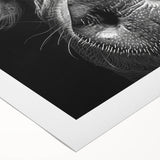 Rolled canvas artwork showcasing a vibrant pig design, featuring bold colors and intricate details, ideal for animal lovers and modern decor enthusiasts.