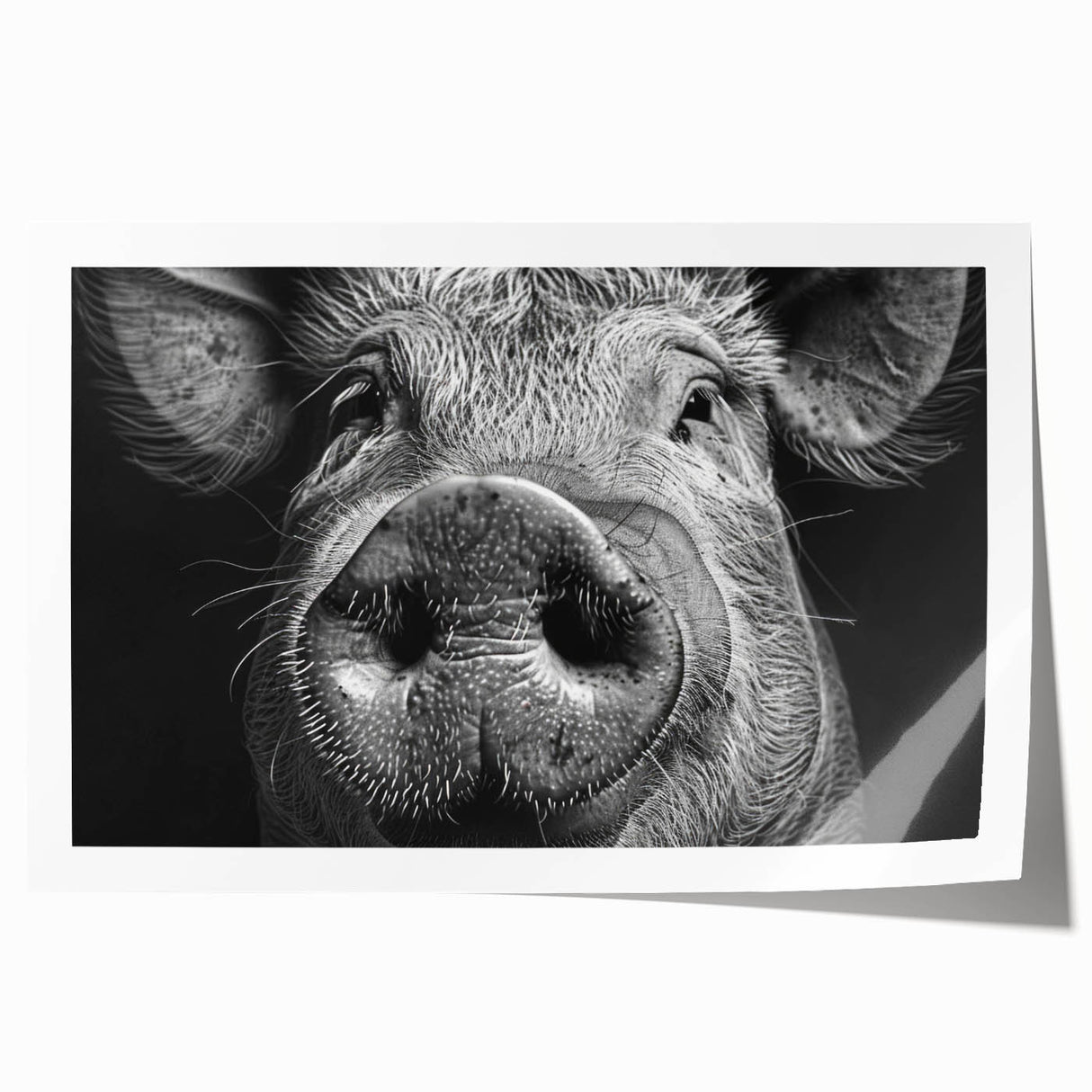 Whimsical pig-themed wall art print featuring vibrant colors and playful design elements, rolled and ready for framing, ideal for animal lovers and home decor.