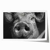 Whimsical pig-themed wall art print featuring vibrant colors and playful design elements, rolled and ready for framing, ideal for animal lovers and home decor.
