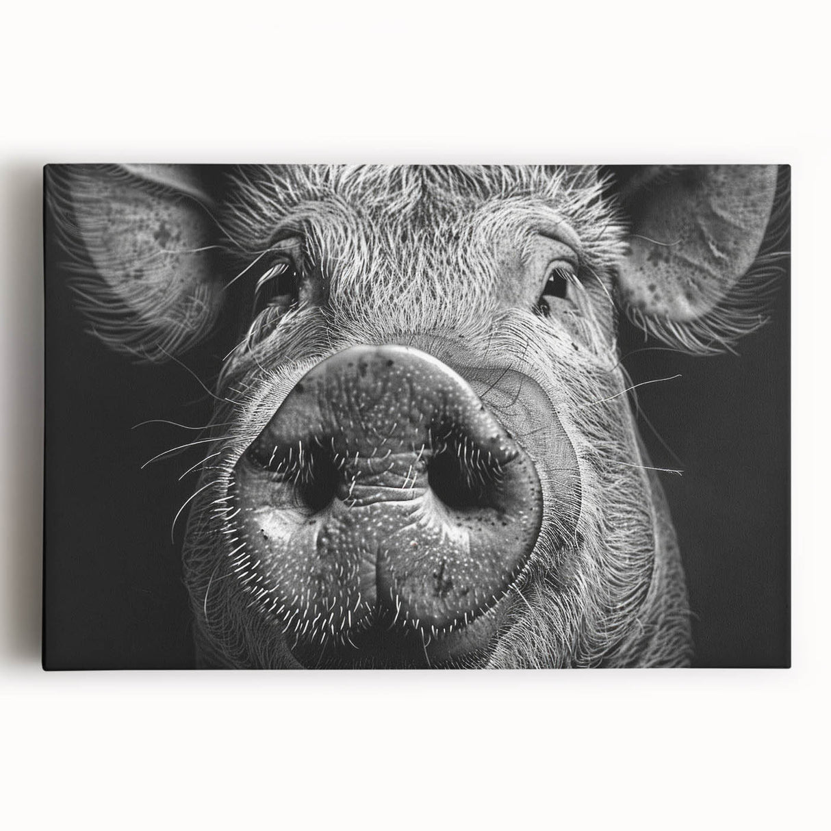 Vibrant stretched canvas wall art featuring a playful pig design, showcasing bold colors and intricate details, perfect for adding a whimsical touch to any space.
