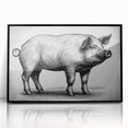 Framed wall art featuring a whimsical pig design, set against a black background, showcasing vibrant colors and playful details, perfect for animal lovers' decor.