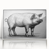 Framed wall art featuring a vibrant pig design from the "Animals A Wild Life" collection, presented in an elegant white frame, perfect for animal lovers and home decor enthusiasts.