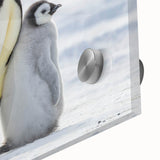Close-up of a high-quality acrylic glass wall art featuring a vibrant penguin design, ideal for animal lovers and modern home decor, showcasing intricate details and vivid colors.