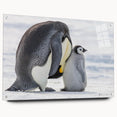 Acrylic wall art design featuring a side view of a playful penguin, showcased with pins for easy hanging, ideal for enhancing modern decor and animal-themed spaces.