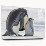 Acrylic wall art design featuring a side view of a playful penguin, showcased with pins for easy hanging, ideal for enhancing modern decor and animal-themed spaces.