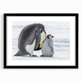 Framed black wall art featuring an elegant penguin design, showcasing intricate details and vibrant colors, perfect for enhancing modern decor and animal-themed interiors.