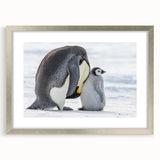 Framed wall art featuring a whimsical penguin design with silver matte finish, perfect for adding a playful touch to home decor. Ideal for animal lovers and modern interiors.