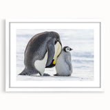 Framed wall art featuring a whimsical penguin design on a white mat background, perfect for adding a playful touch to home decor in modern settings.