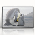 Framed acrylic wall art featuring a striking penguin design, set against a black background, ideal for modern home decor and animal lovers. This captivating piece adds a stylish touch to any living space.