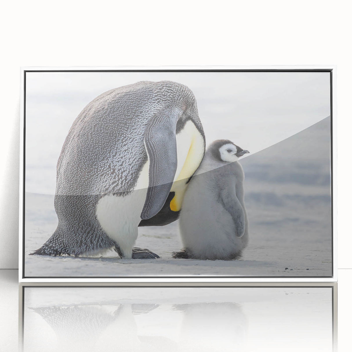 Framed acrylic wall art featuring a playful penguin design in a white frame, perfect for adding a whimsical touch to any room decor. Ideal for animal lovers and modern interiors.