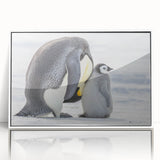 Framed acrylic wall art featuring a playful penguin design in a white frame, perfect for adding a whimsical touch to any room decor. Ideal for animal lovers and modern interiors.