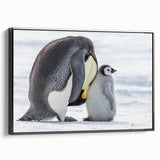 Framed wall art featuring a black and white penguin design on canvas, showcasing a sleek side view. Ideal for animal-themed decor in modern interiors.
