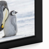 Close-up of a framed canvas wall art featuring a vibrant penguin design, showcasing intricate details and bold colors that enhance any wildlife-themed decor.