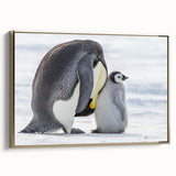 Framed canvas wall art featuring a playful penguin design in vibrant colors, set against a gold background, ideal for animal lovers' home decor.